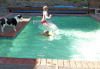 Apache Pools Pool Remodels - Before